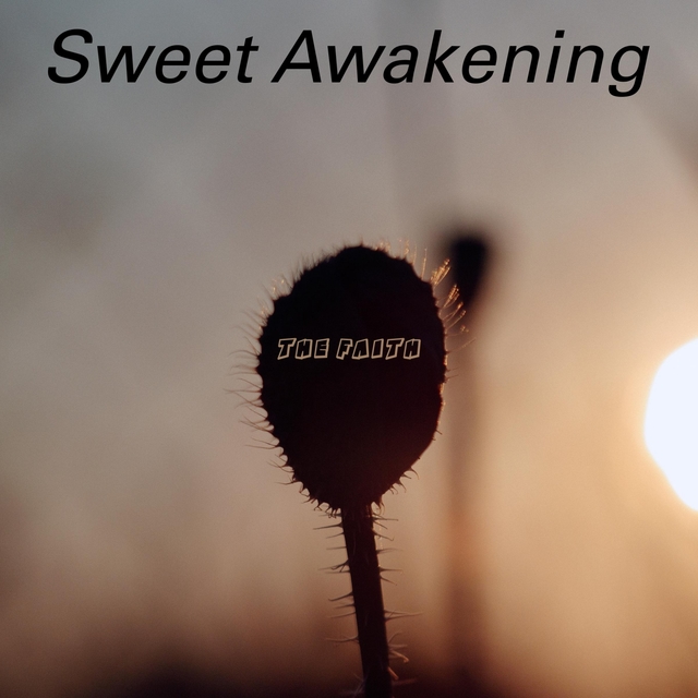 Couverture de Sweet Awakening