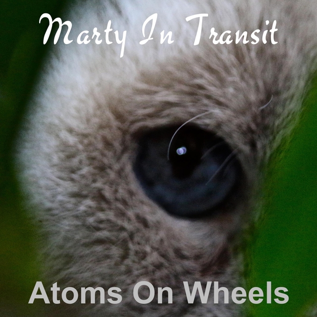 Marty In Transit