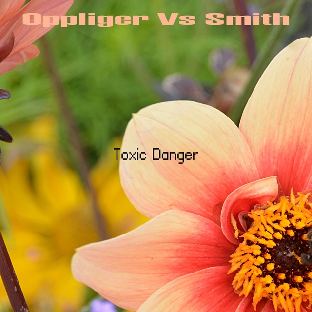 Couverture de Oppliger Vs Smith