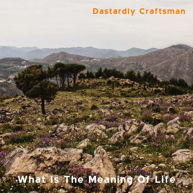 Couverture de What Is The Meaning Of Life