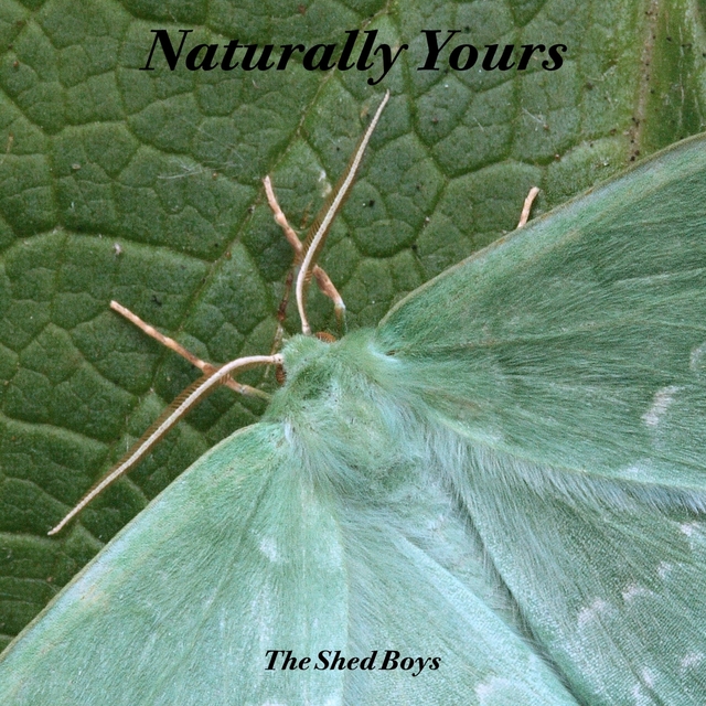 Couverture de Naturally Yours