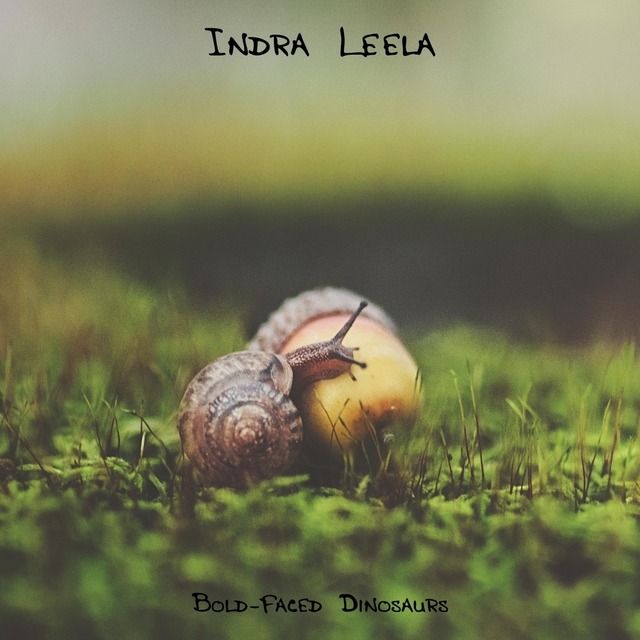 Couverture de Indra Leela