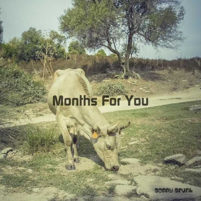 Couverture de Months For You