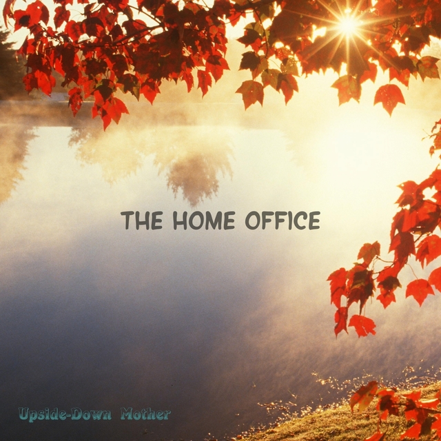 Couverture de The Home Office