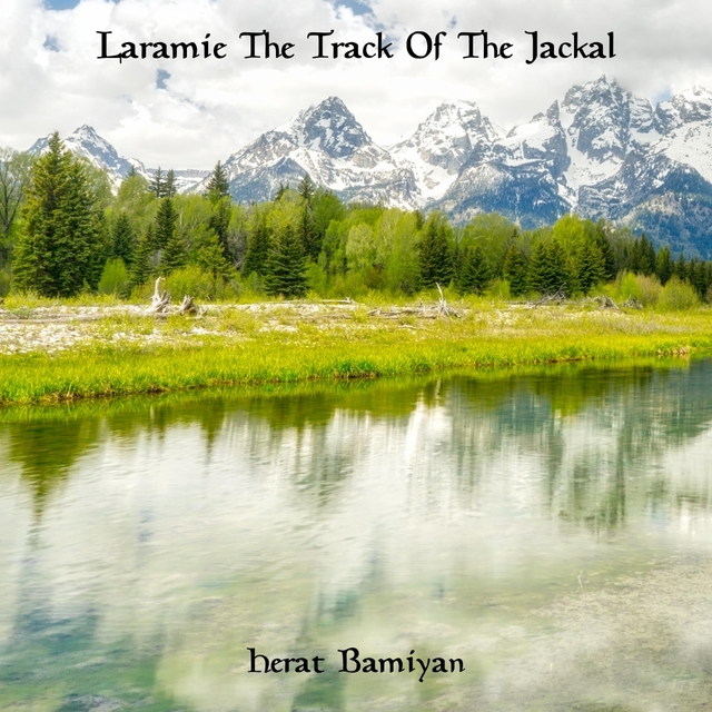 Couverture de Laramie The Track Of The Jackal