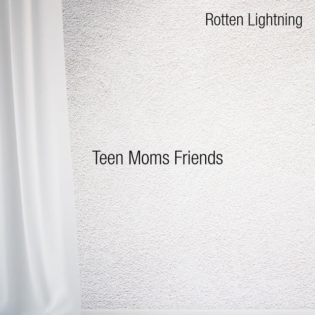 Couverture de Teen Moms Friends