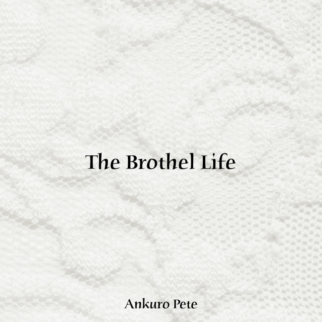 Couverture de The Brothel Life