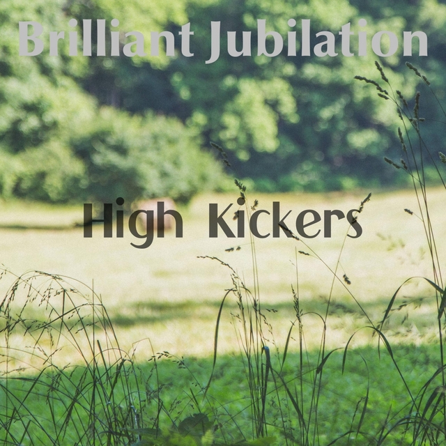 Couverture de High Kickers