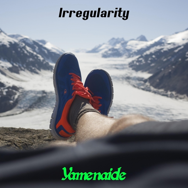 Couverture de Irregularity