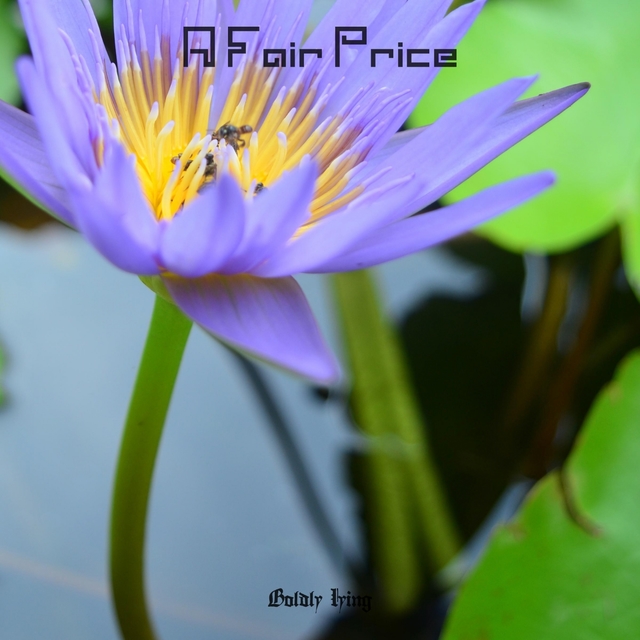 Couverture de A Fair Price