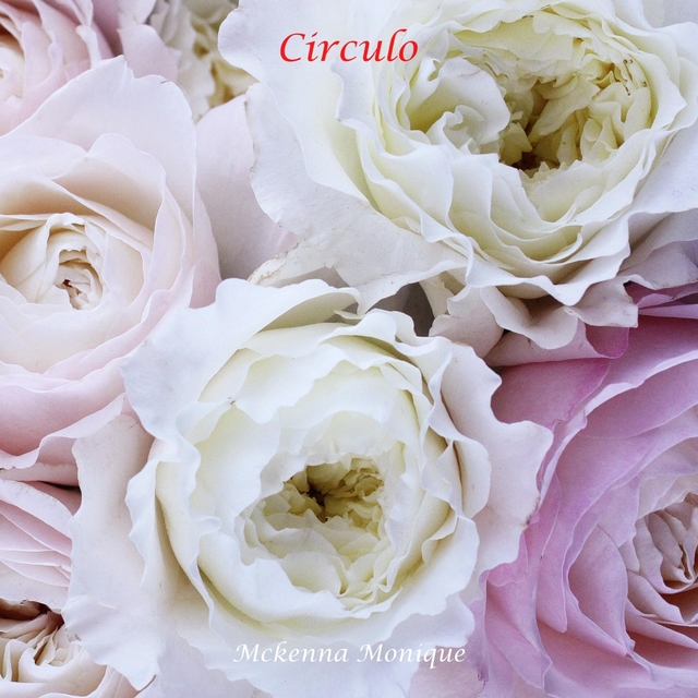 Couverture de Circulo