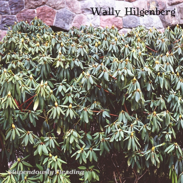 Couverture de Wally Hilgenberg