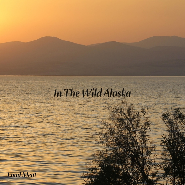 Couverture de In The Wild Alaska