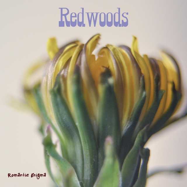 Couverture de Redwoods