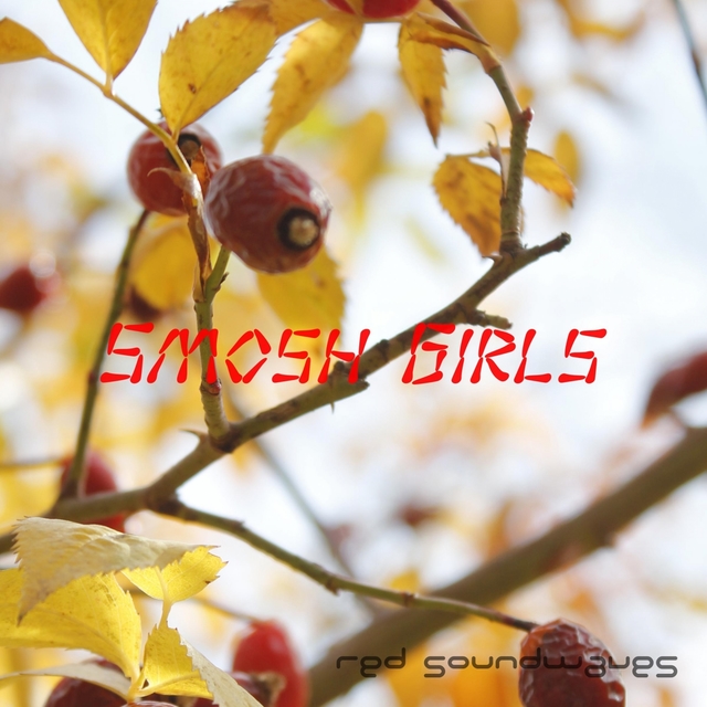 Couverture de Smosh Girls