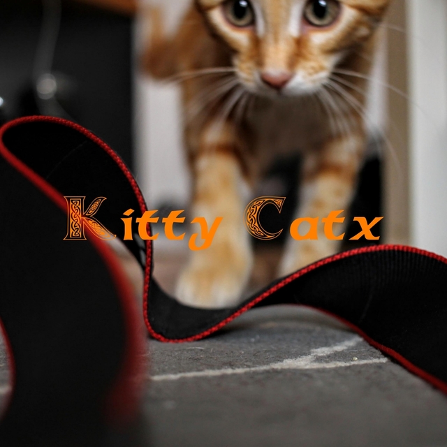 Couverture de Kitty Catx