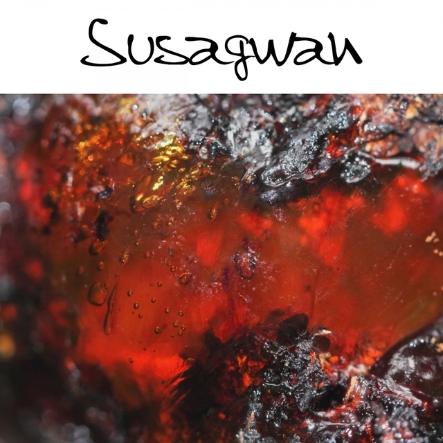 Susagwan