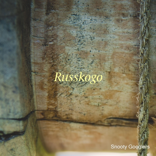 Couverture de Russkogo