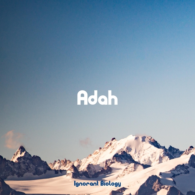 Couverture de Adah