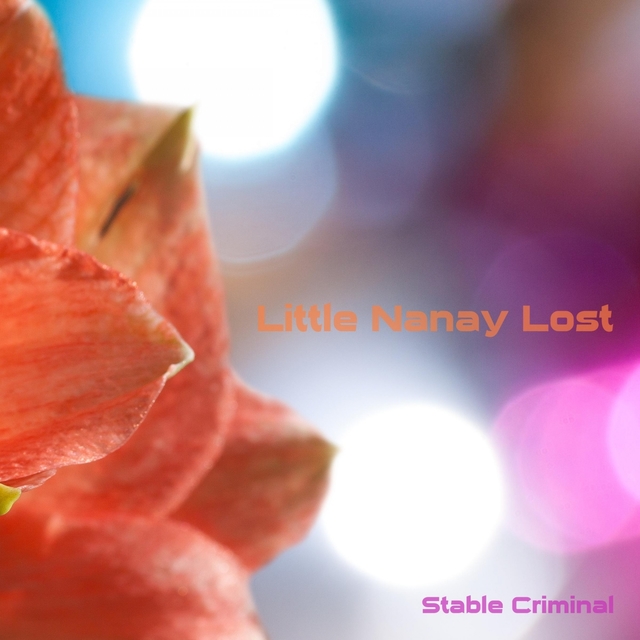 Couverture de Little Nanay Lost