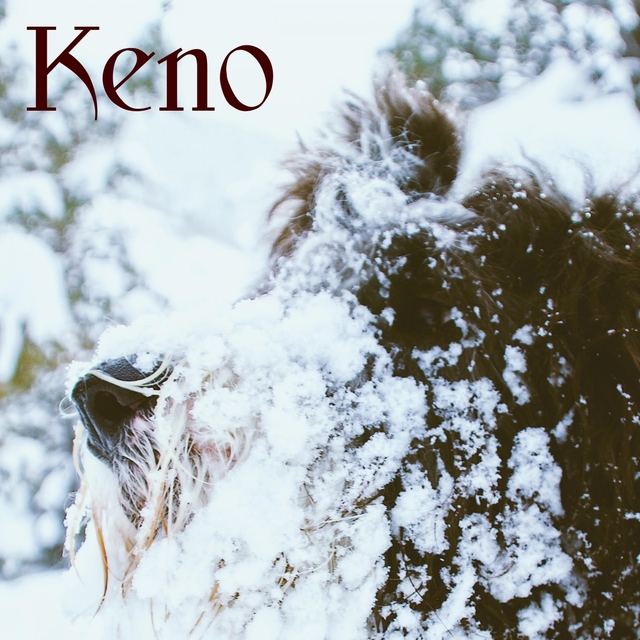 Couverture de Keno