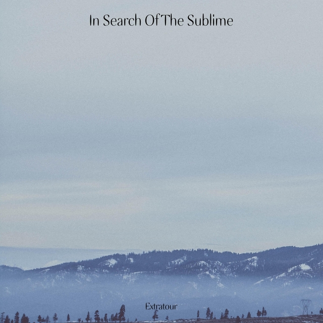 Couverture de In Search Of The Sublime