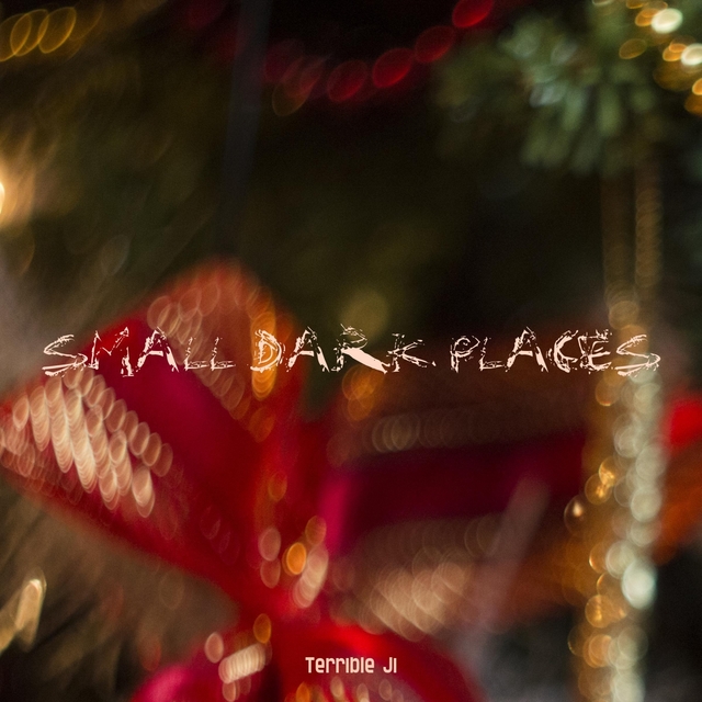 Couverture de Small Dark Places