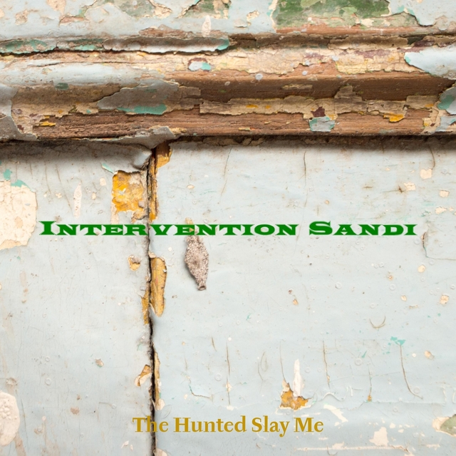 Couverture de Intervention Sandi