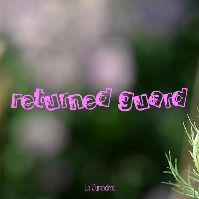 Couverture de Returned Guard