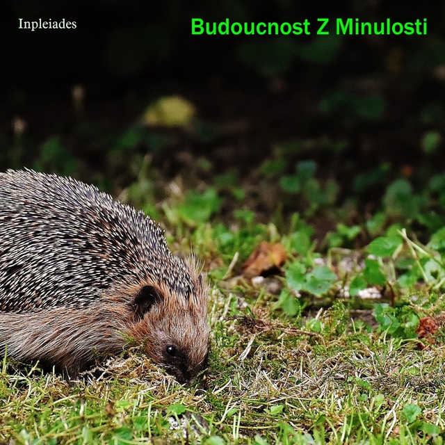 Couverture de Budoucnost Z Minulosti