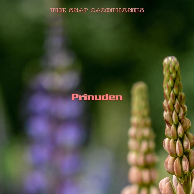 Prinuden