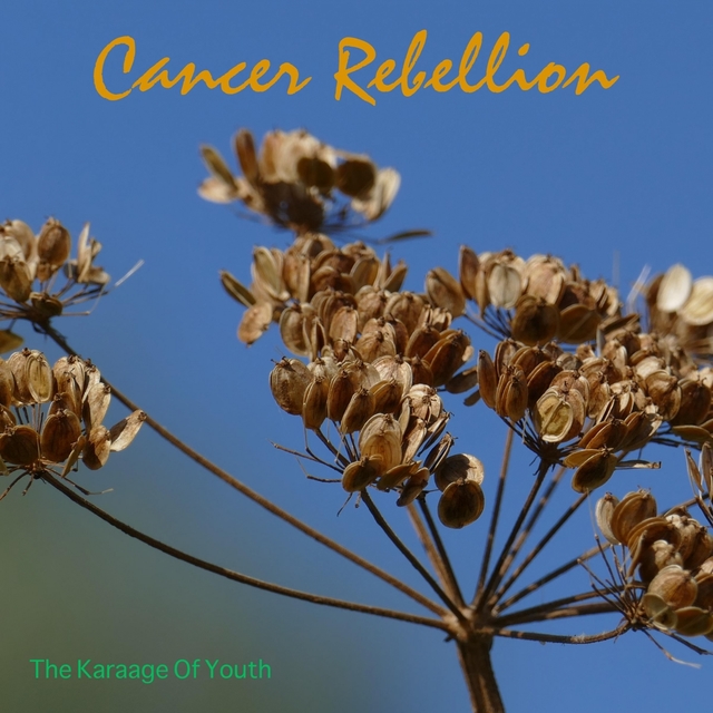 Couverture de Cancer Rebellion