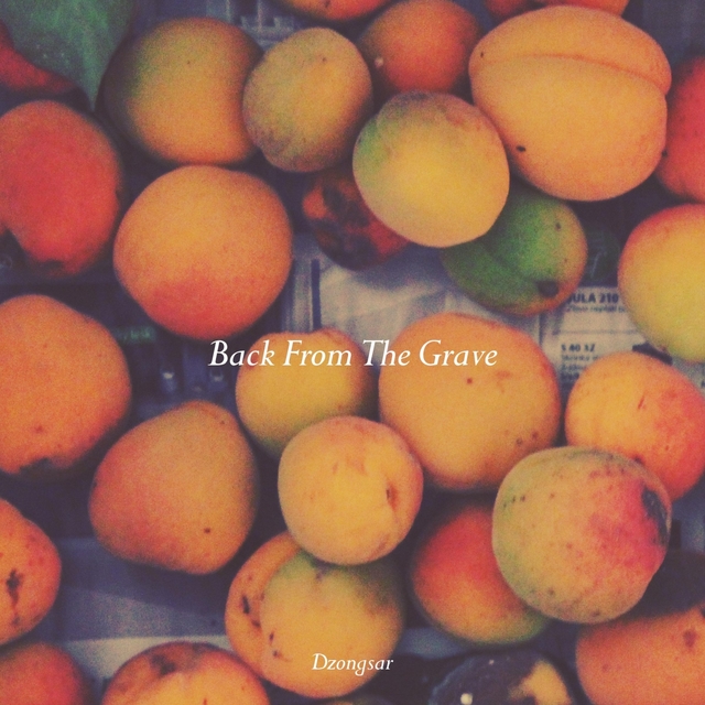 Couverture de Back From The Grave