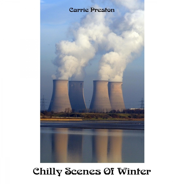 Couverture de Chilly Scenes Of Winter