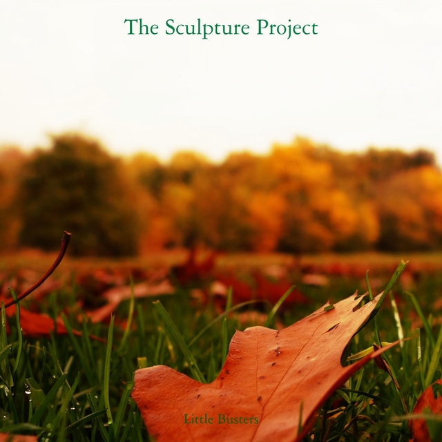 Couverture de The Sculpture Project