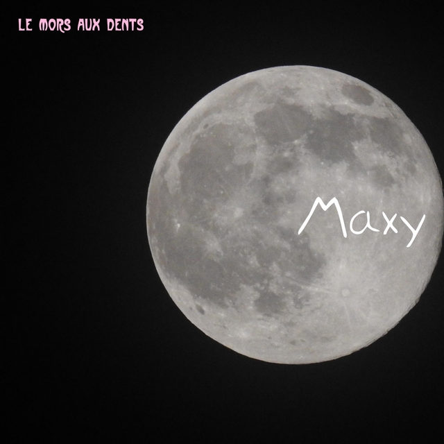 Couverture de Maxy