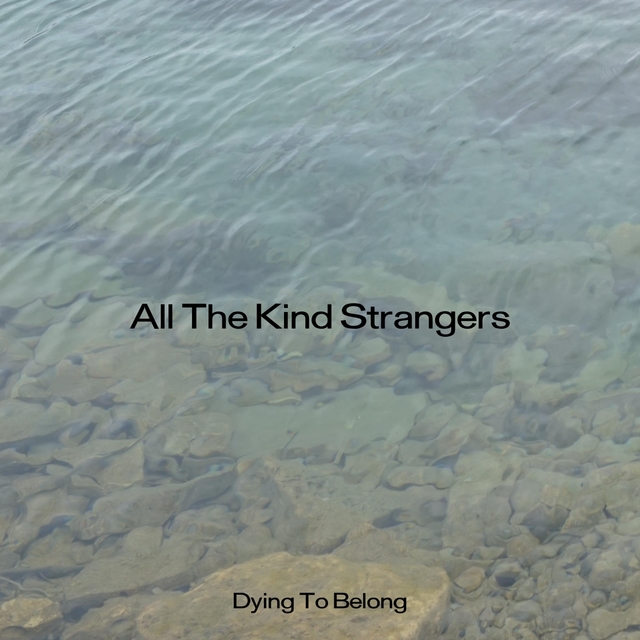 Couverture de All The Kind Strangers