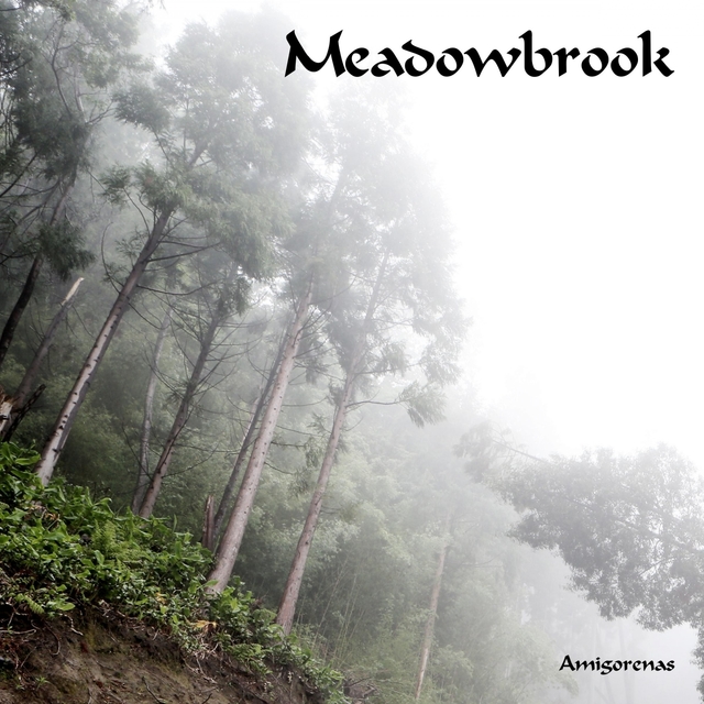 Couverture de Meadowbrook