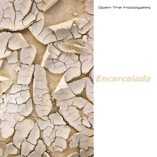 Couverture de Encarcelada