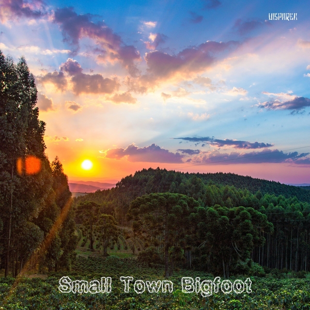 Couverture de Small Town Bigfoot