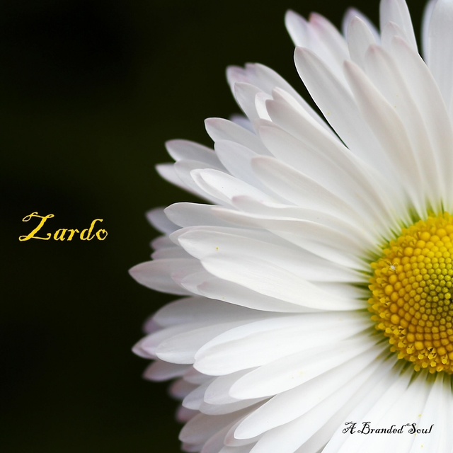 Couverture de Zardo