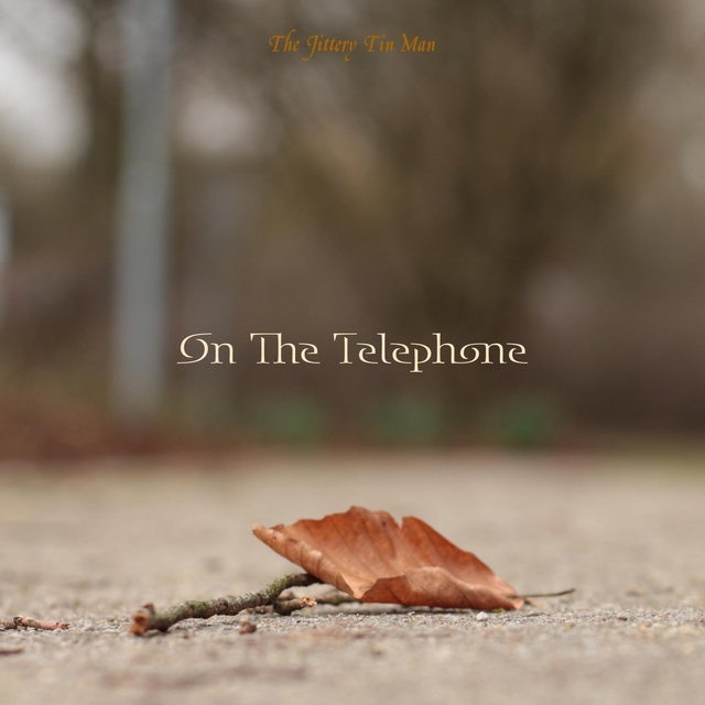 Couverture de On The Telephone