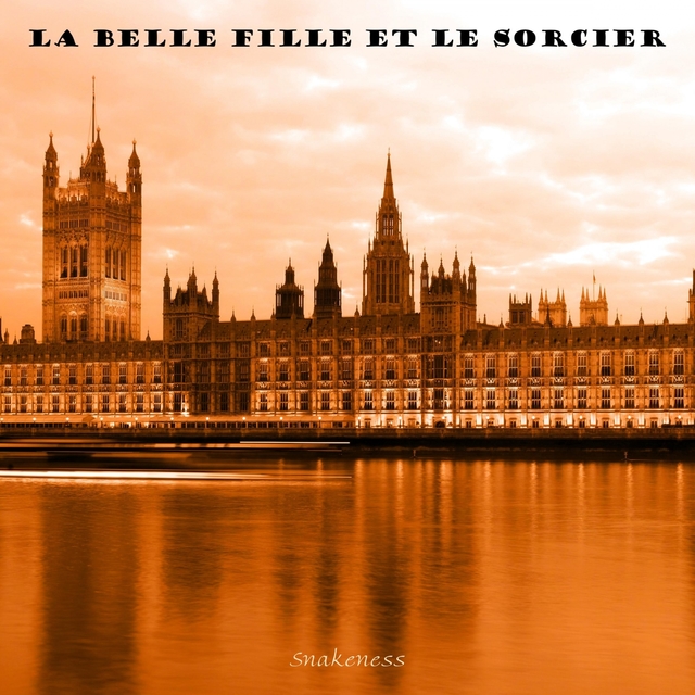 Couverture de La Belle Fille Et Le Sorcier