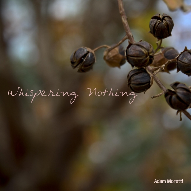 Couverture de Whispering Nothing