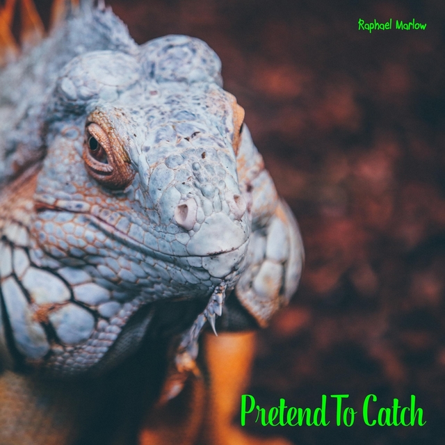 Pretend To Catch