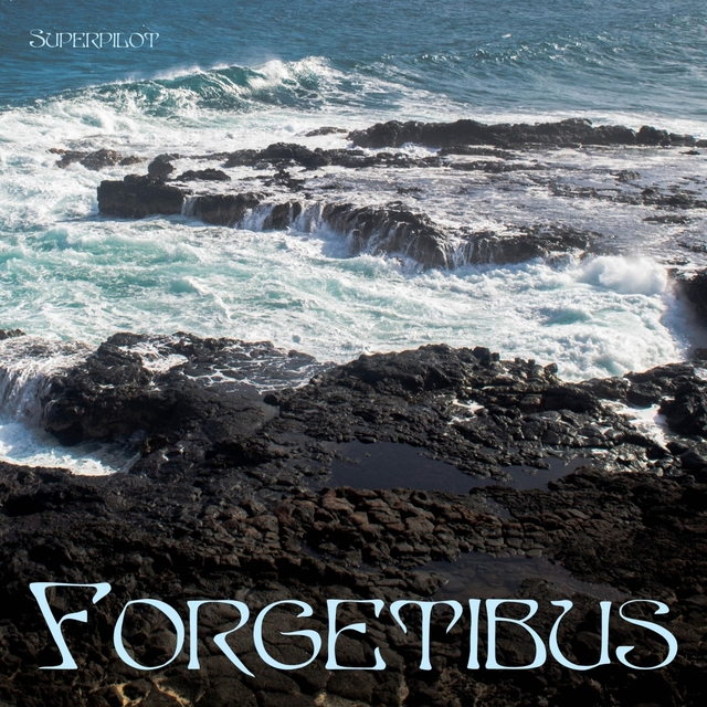 Couverture de Forgetibus