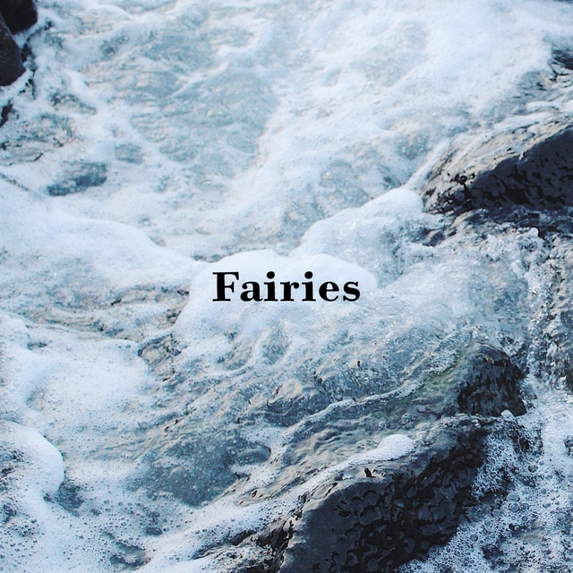 Couverture de Fairies