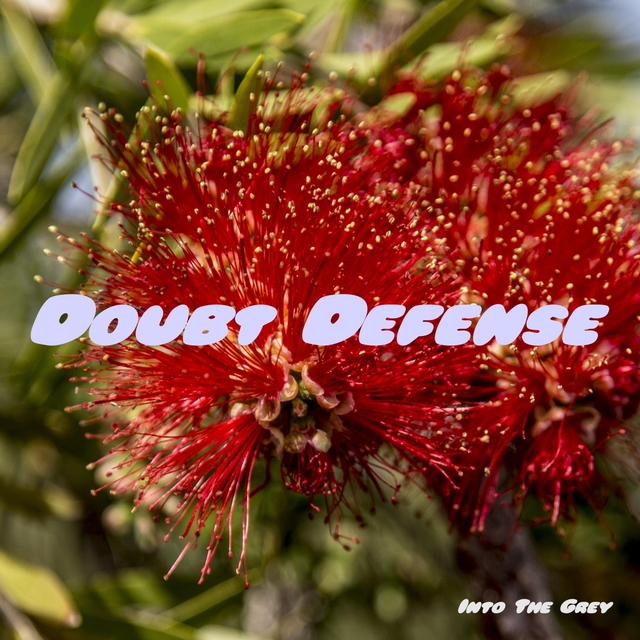 Couverture de Doubt Defense