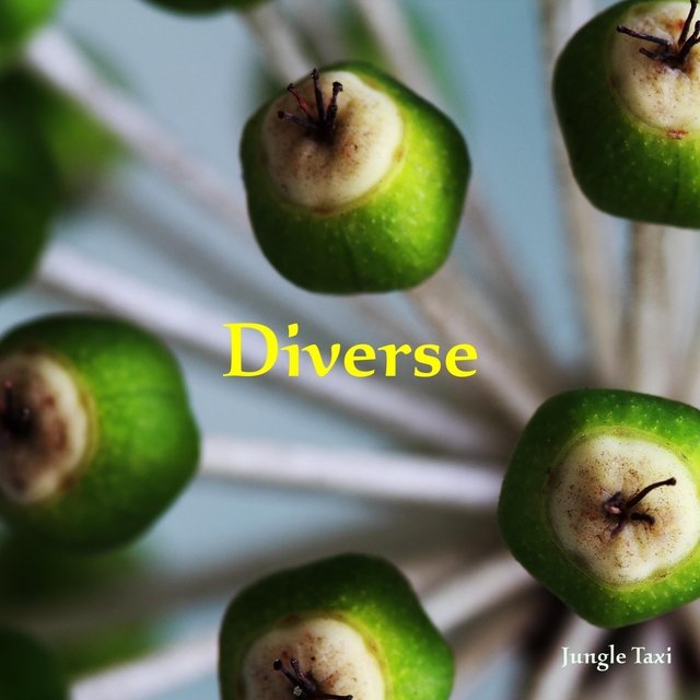 Couverture de Diverse