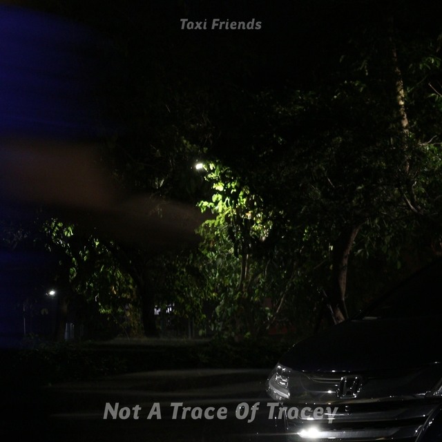 Couverture de Not A Trace Of Tracey